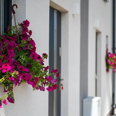 Zatoka Fok - Zjezdzalnia Dmuchana * Władysławowo